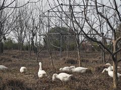 -浙江农林大学(东湖校区)