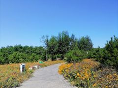 -东郊湿地公园
