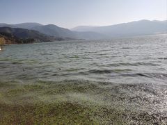 -西昌邛海湿地