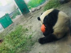 -无锡动物园·太湖欢乐园