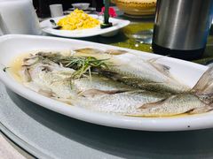 -天福苑(崇宁路店)