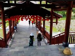 -南宁花花大世界景区