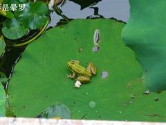 -南戴河国际娱乐中心