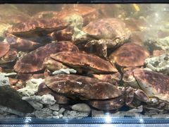 -盒马鲜生(皇庭广场店)