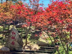 -广州市帽峰山景区