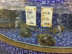 景观位-太子园林酒家