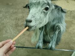 -太奥幻太奇海洋馆