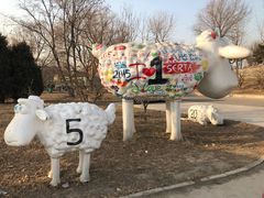 -酷鱼垂钓CLUB(朝阳区博大路店 )