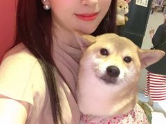 -猫色咖啡·猫咖