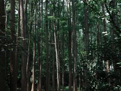 -杭州植物园