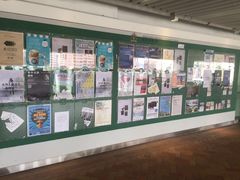 -香港大学
