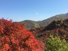-龙道沟景区