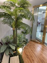 -八佰伴8008星级形象店