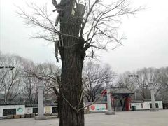 -宝泉胜境旅游度假区