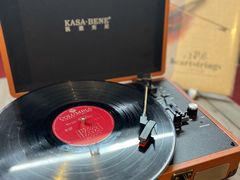 -树懒黑胶唱片店(中山路店)