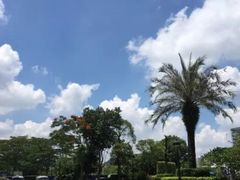 -深圳中海凯骊酒店