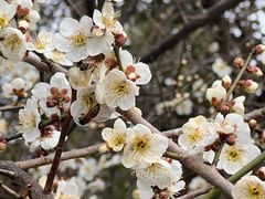 -敬亭山风景名胜区