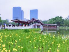 -西海子公园