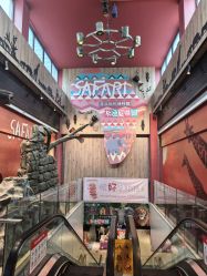 -卡通尼·Safari非洲探索乐园·生日会(金桥国际商业广场店)