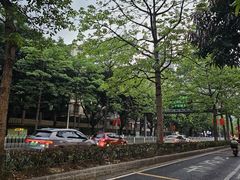 -广州都市观光巴士(粤陶巴)