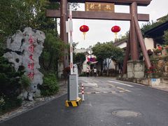 -龙井村