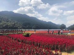 -广州市石门国家森林公园