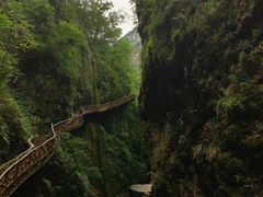 -鹿院坪生态旅游景区