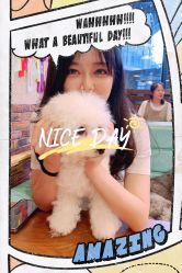 点击看大图 体验后-大麦微针植发全国连锁