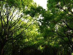 -黄兴公园