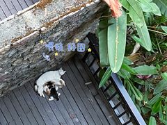 -中国科学院西双版纳热带植物园