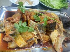 -秦巴石锅鱼(文化南路店)