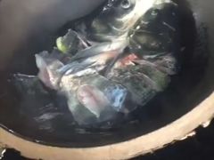 -好灶头妈妈菜·柴火灶台鱼·千岛湖土菜地标美食