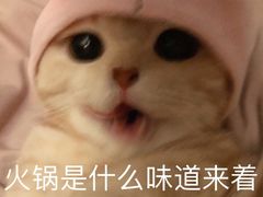 -陈记泸州酸菜豆花火锅(建设路店)