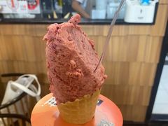 -野人先生现做冰淇淋(北京顺义祥云小镇店)