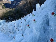-秦岭终南山世界地质公园翠华山景区
