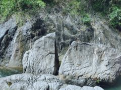 -广州白江湖森林公园