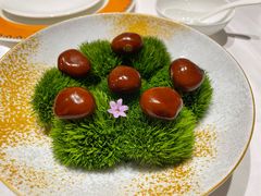 -鹿园 MOOSE(长宁店)