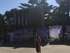 -中央民族大学