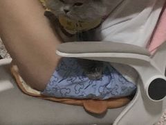 -宠福鑫康馨动物医院·骨科·眼科