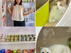 -青奢宠物·青奢猫舍