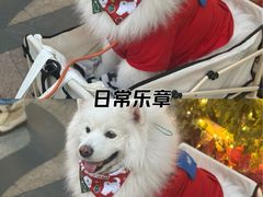 -比斯特上海购物村精品奥特莱斯