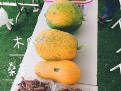 -光明小镇欢乐田园