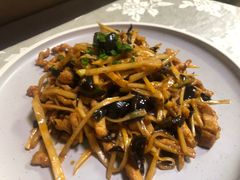 -丁老爷子苏香圆