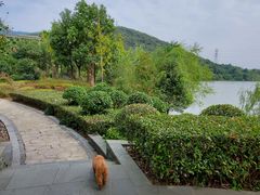 -宁波九龙湖开元度假村