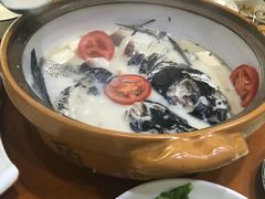 -全乐鱼馆·淳牌有机鱼直营店
