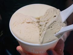 -Dip in Gelato(富民路店)