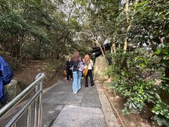 -普陀山风景区-佛顶山