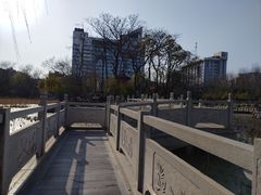 -莲湖公园