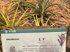 -中国科学院西双版纳热带植物园