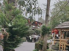 -青城甲(青城山店)